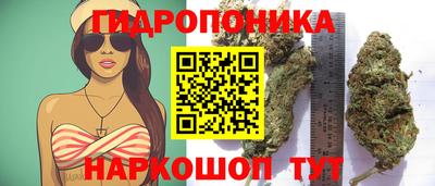 бошки Рязань