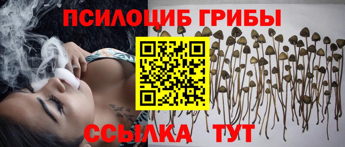 Галлюциногенные грибы GOLDEN TEACHER Петрозаводск
