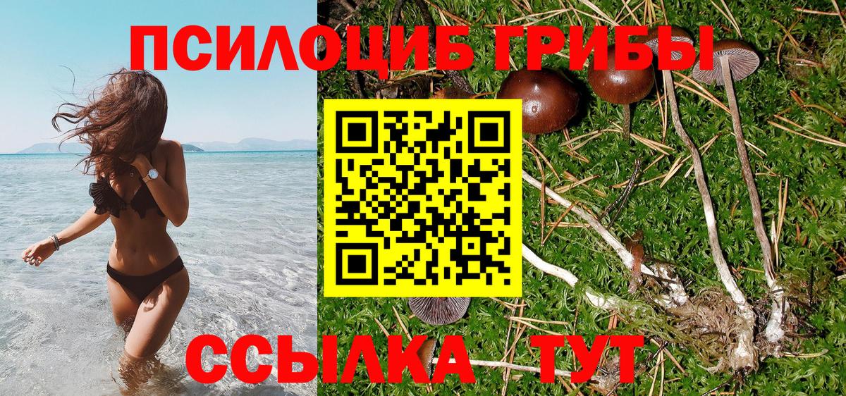 Галлюциногенные грибы Psilocybine cubensis  Галлюциногенные грибы MAGIC MUSHROOMS  Вход с VPN  Петрозаводск 